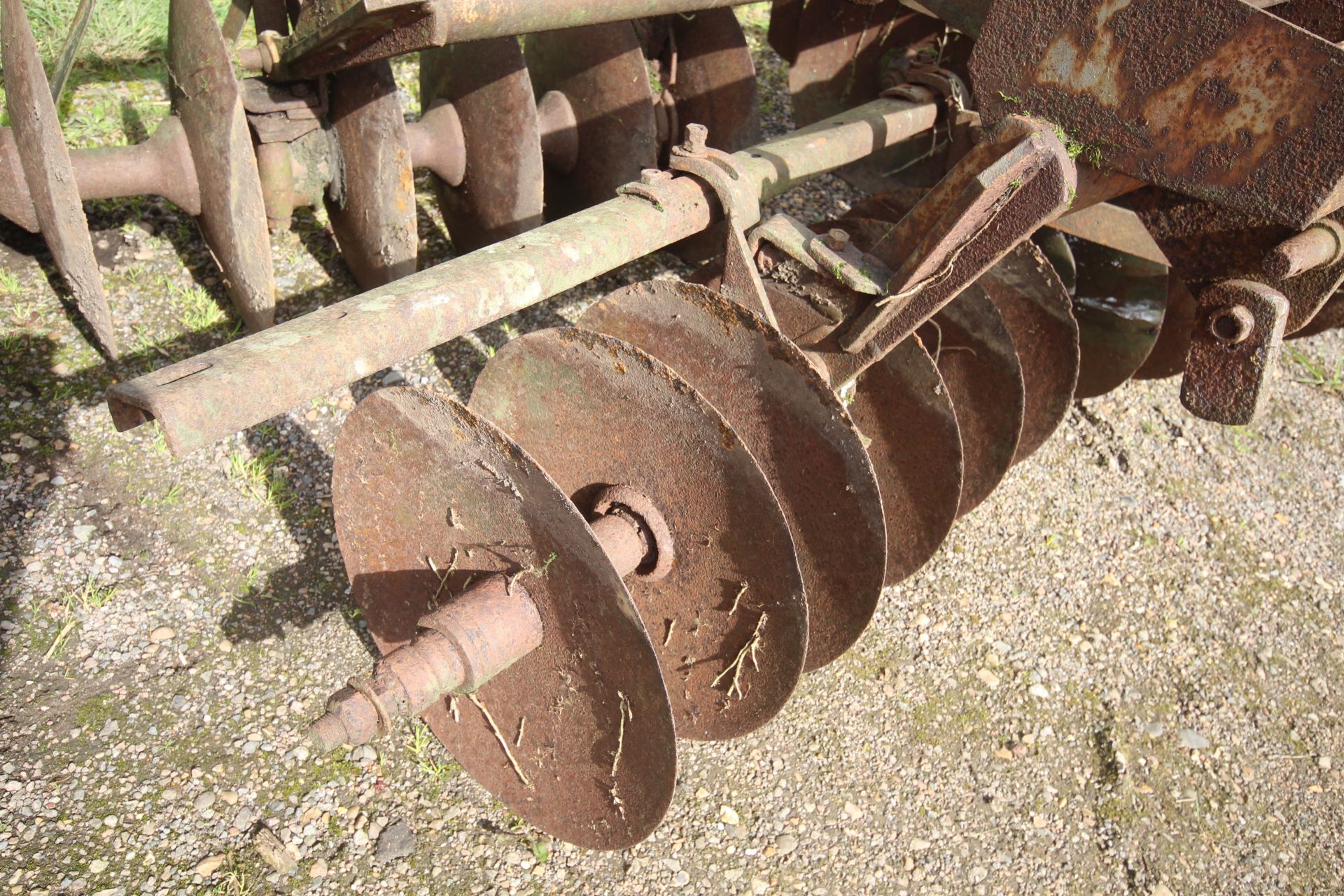 Massey Ferguson mounted discs. From a Local Deceased estate. V - Image 13 of 13