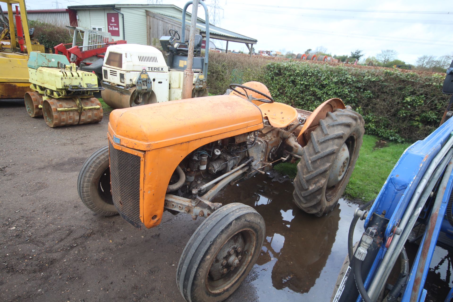 Ferguson TEA 20 Petrol/ TVO 2WD tractor. Registration MVF 85 (buff log book). 1951. Fitted with - Image 2 of 26