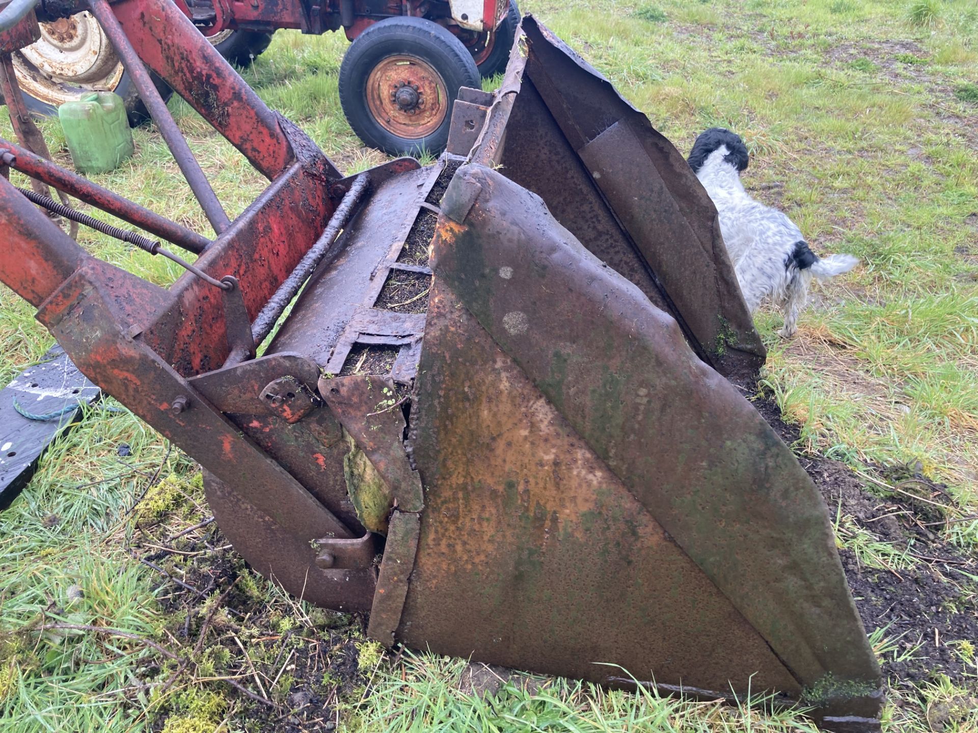 McCormick 434 2WD tractor. Registration FDX4 58D (expired). Serial No. B/2894. With Quicke loader ( - Image 57 of 58