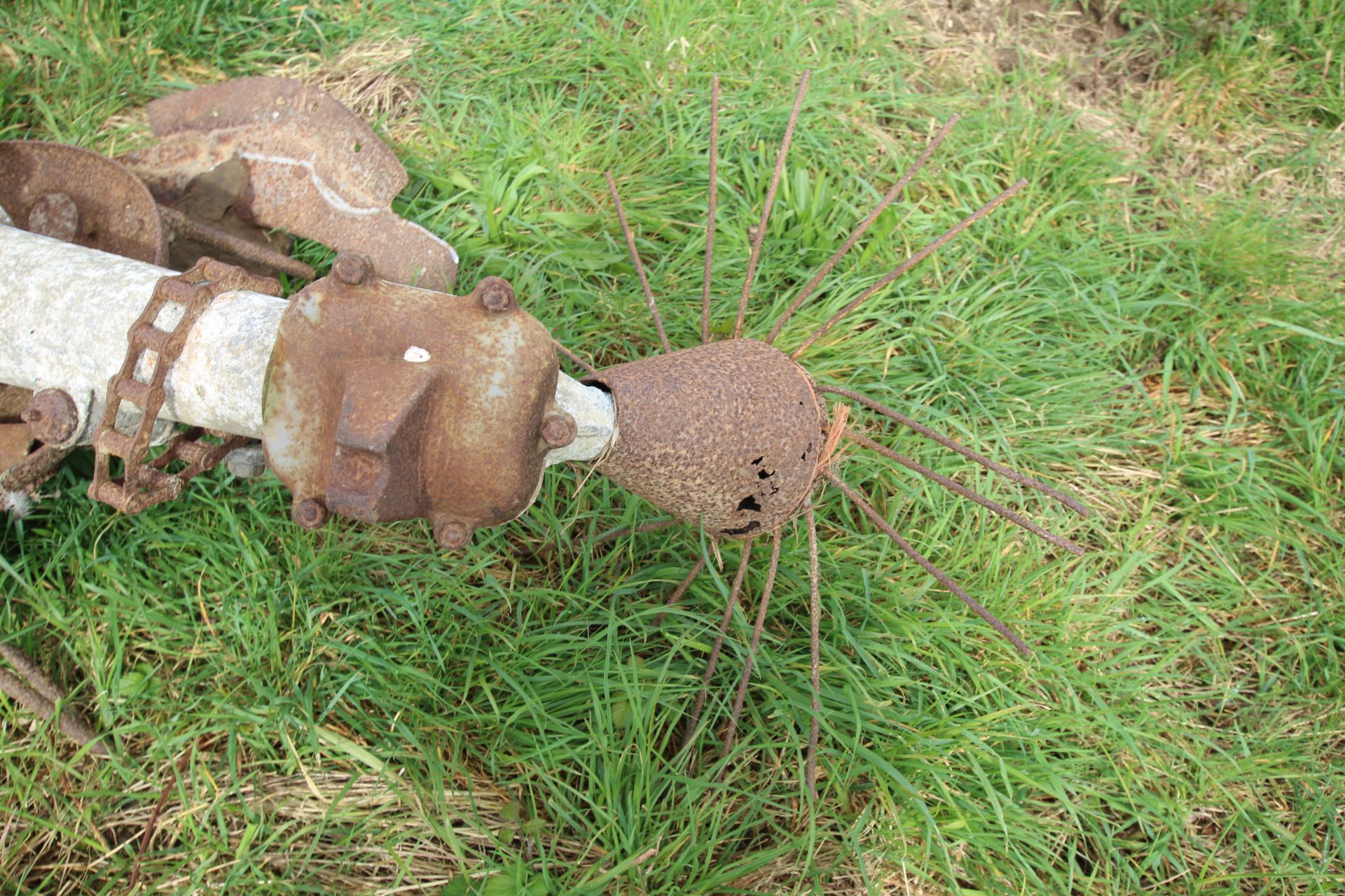 Ferguson PTO driven potato spinner. - Image 6 of 8