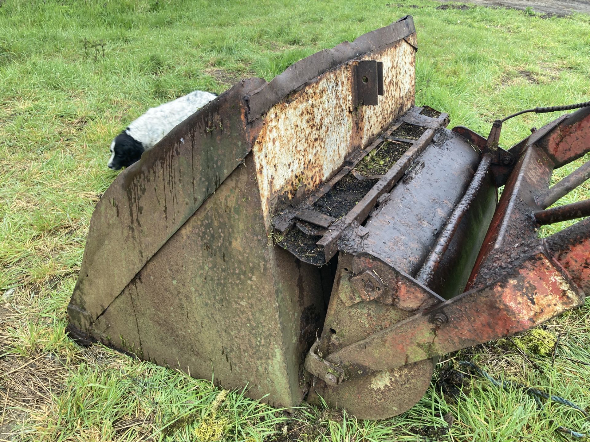 McCormick 434 2WD tractor. Registration FDX4 58D (expired). Serial No. B/2894. With Quicke loader ( - Image 54 of 58