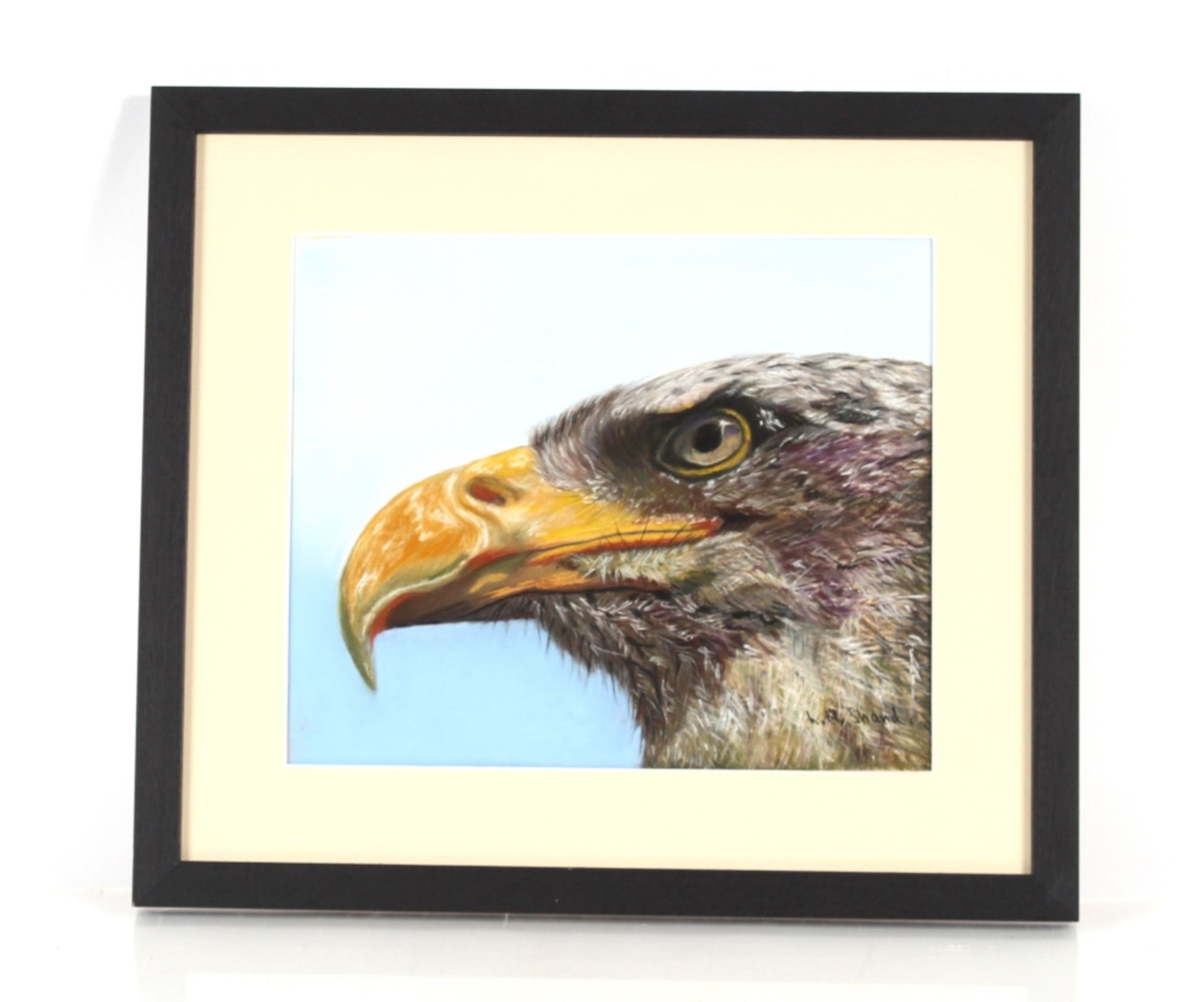 L. M. Shand, pastel study of an eagles head, 25cm x  30cm - Image 2 of 2