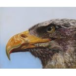 L. M. Shand, pastel study of an eagles head, 25cm x  30cm