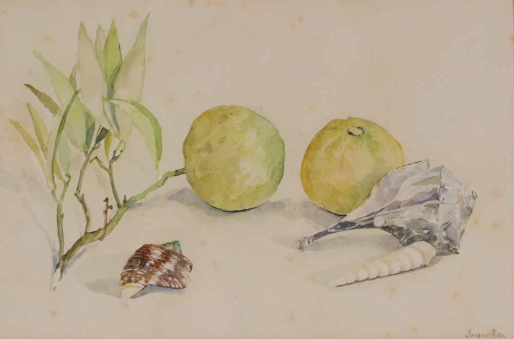 Jasper Rose (modern British), study of fruit and sea shells, sighed watercolour, 17.5cm x 26cm