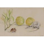 Jasper Rose (modern British), study of fruit and sea shells, sighed watercolour, 17.5cm x 26cm