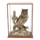 A Victorian cased and preserved eagle owl, set amongst rockwork and foliage with attendant small