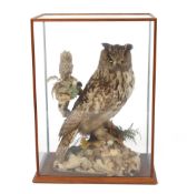 A Victorian cased and preserved eagle owl, set amongst rockwork and foliage with attendant small