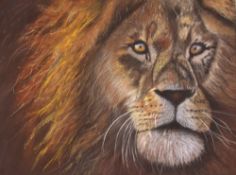 L. M. Shand, pastel study of a lions head, 28cm x 37cm