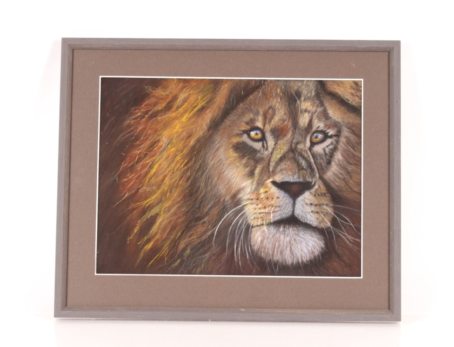 L. M. Shand, pastel study of a lions head, 28cm x 37cm - Image 2 of 2