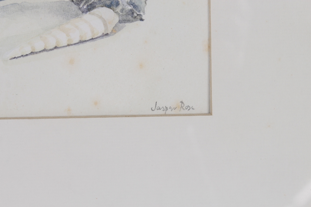 Jasper Rose (modern British), study of fruit and sea shells, sighed watercolour, 17.5cm x 26cm - Bild 3 aus 3
