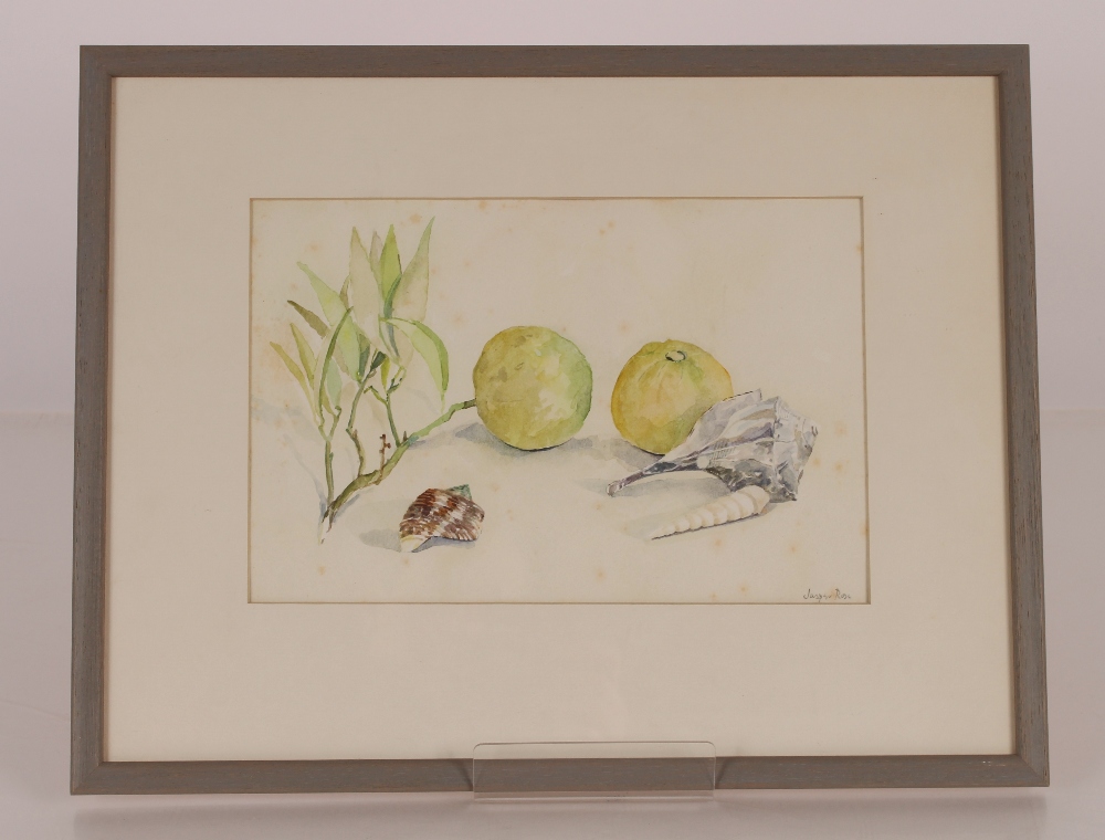 Jasper Rose (modern British), study of fruit and sea shells, sighed watercolour, 17.5cm x 26cm - Bild 2 aus 3