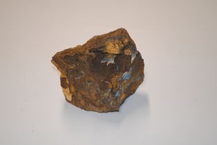 A rough specimen of Australian Queensland boulder