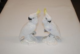 Two Crown Staffordshire models of cockatoos design