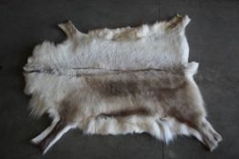 A reindeer skin fur hide