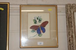 A framed and glazed watercolour study of a butterf