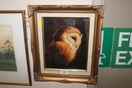 Oil on board study of a barn owl in gilt frame