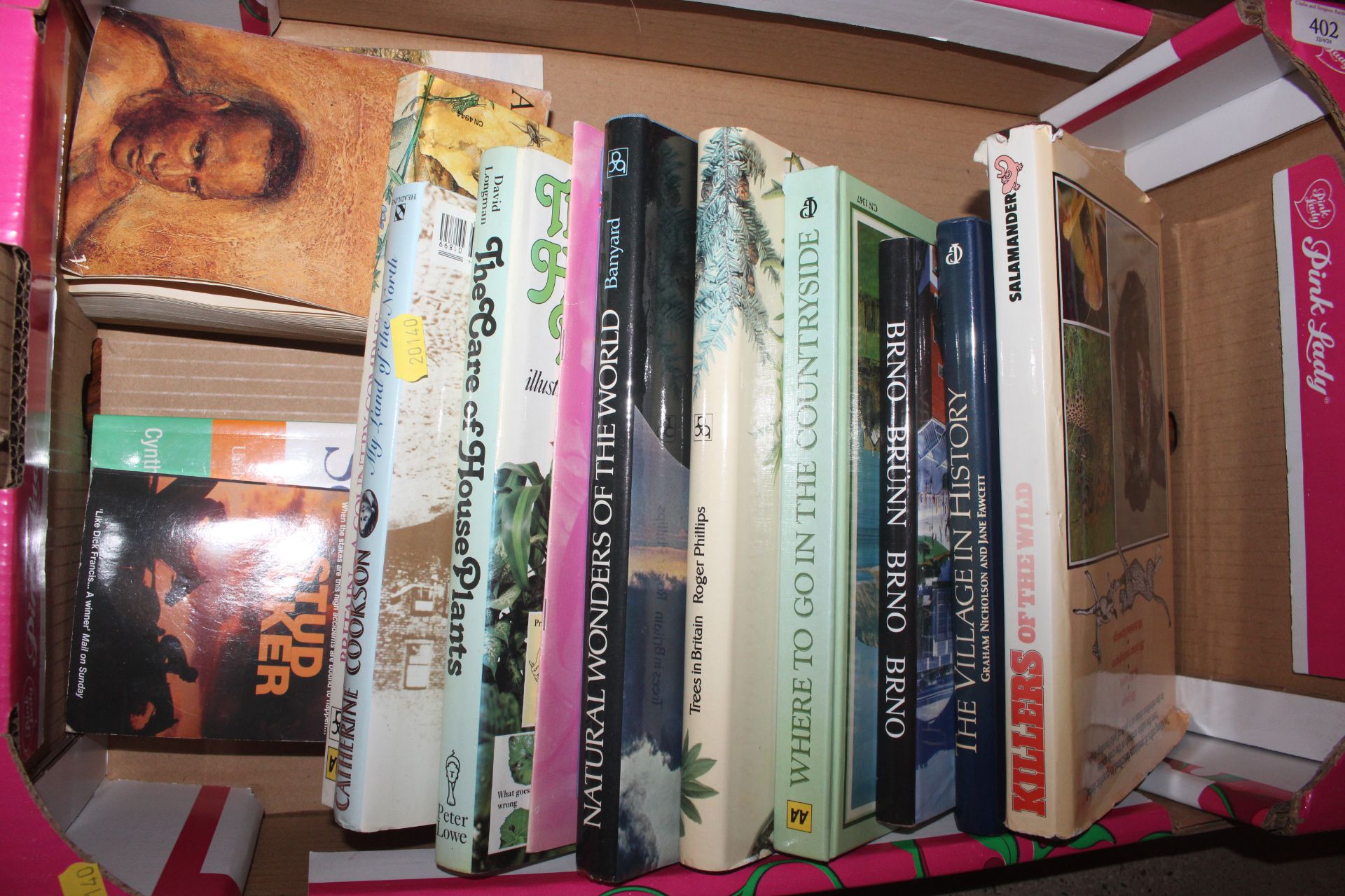 Two boxes of miscellaneous books - Image 3 of 3