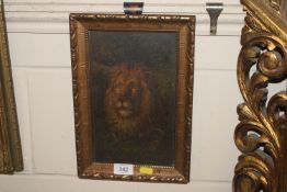 19th Century school, oil on panel study of a lion