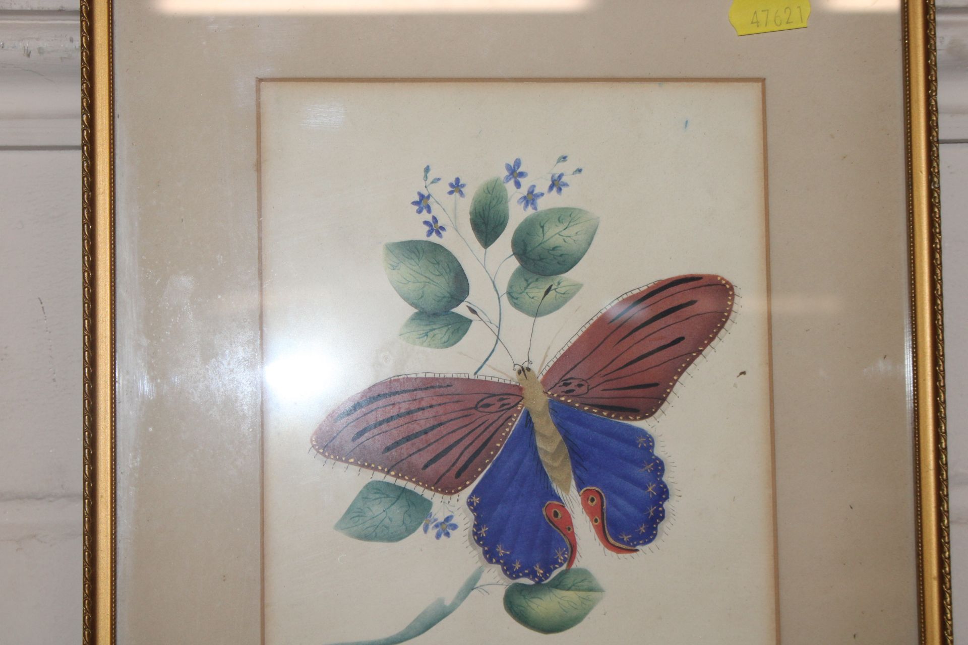 A framed and glazed watercolour study of a butterf - Image 2 of 2