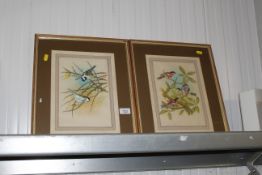 A pair of framed paintings on fabric depicting bir