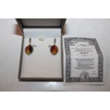 A pair of Sterling silver and amber set drop ear-r