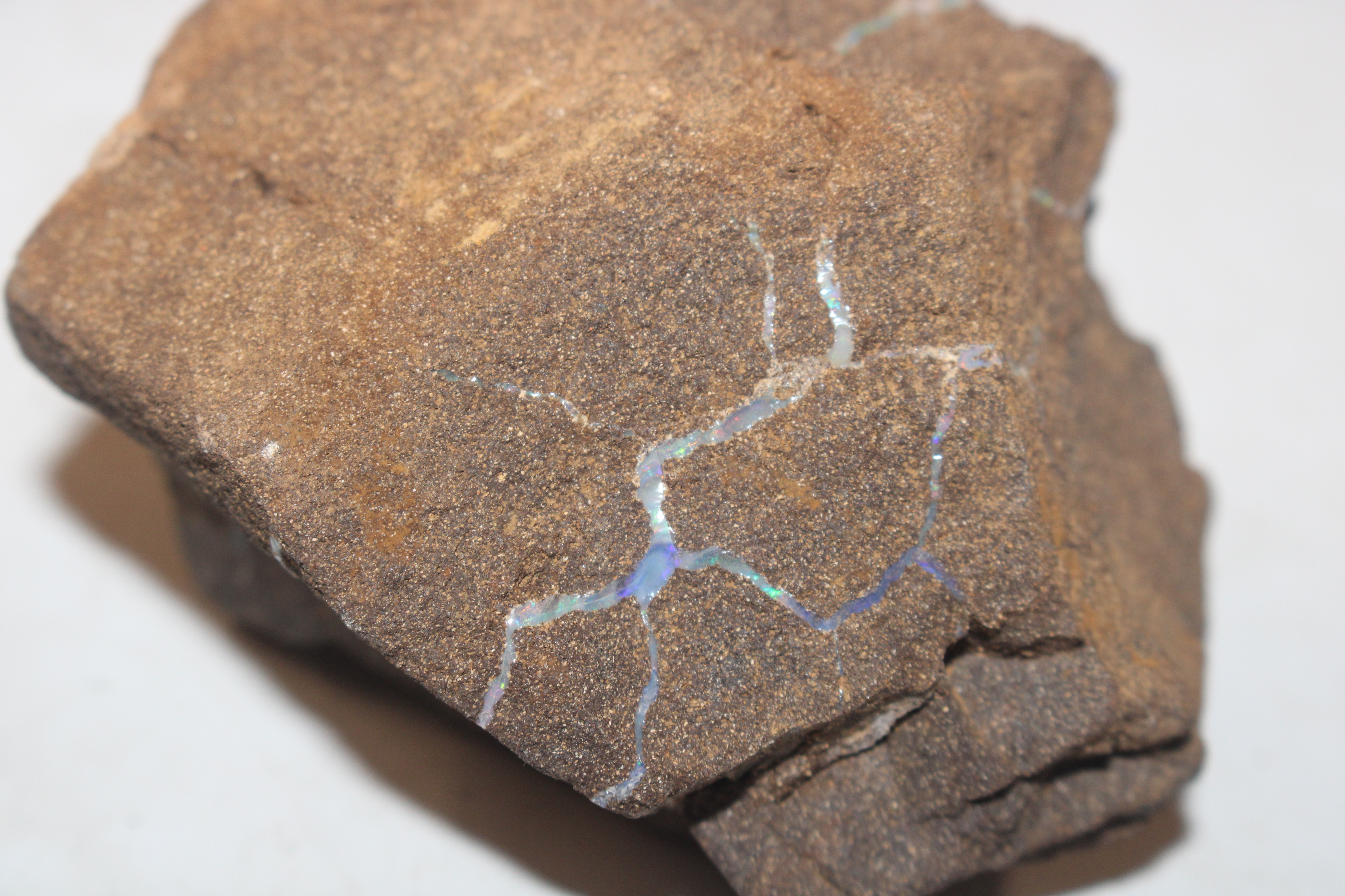 A box containing five pieces of rough Queensland Boulder Rock opal - Image 8 of 17