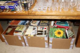 A large quantity of miscellaneous books