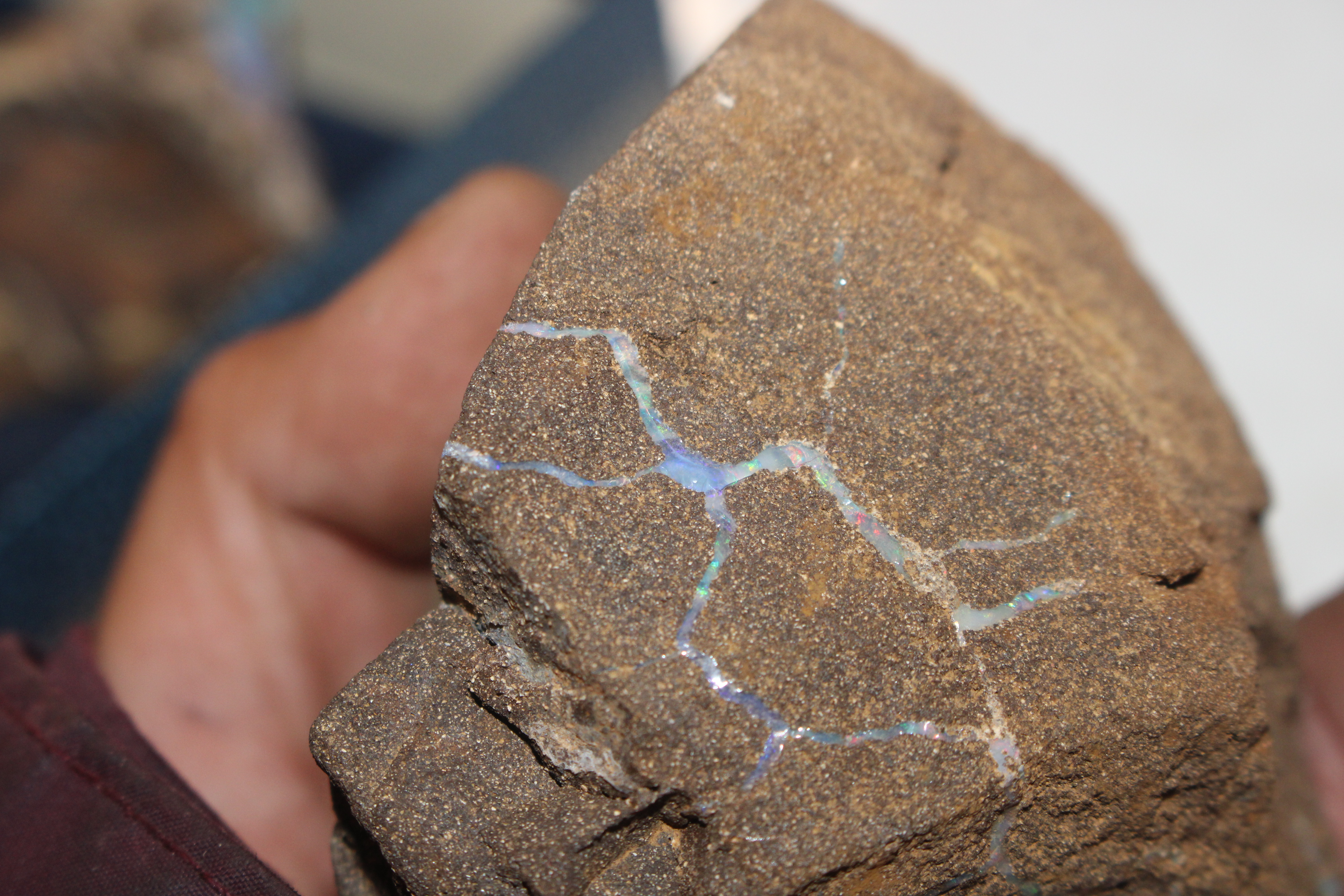 A box containing five pieces of rough Queensland Boulder Rock opal - Image 15 of 17