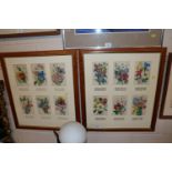 Twelve coloured botanical prints with descriptions