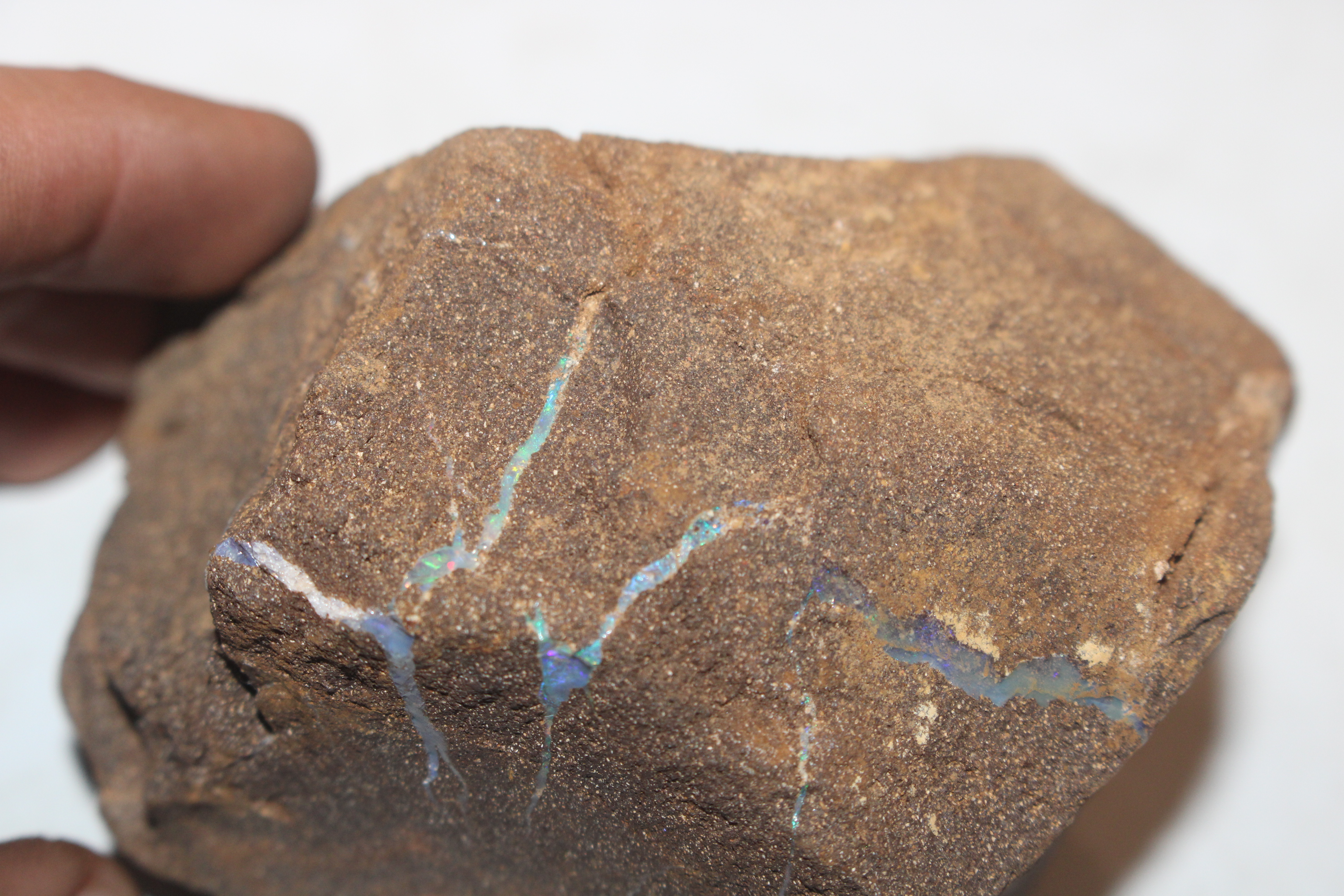 A box containing five pieces of rough Queensland Boulder Rock opal - Image 10 of 17
