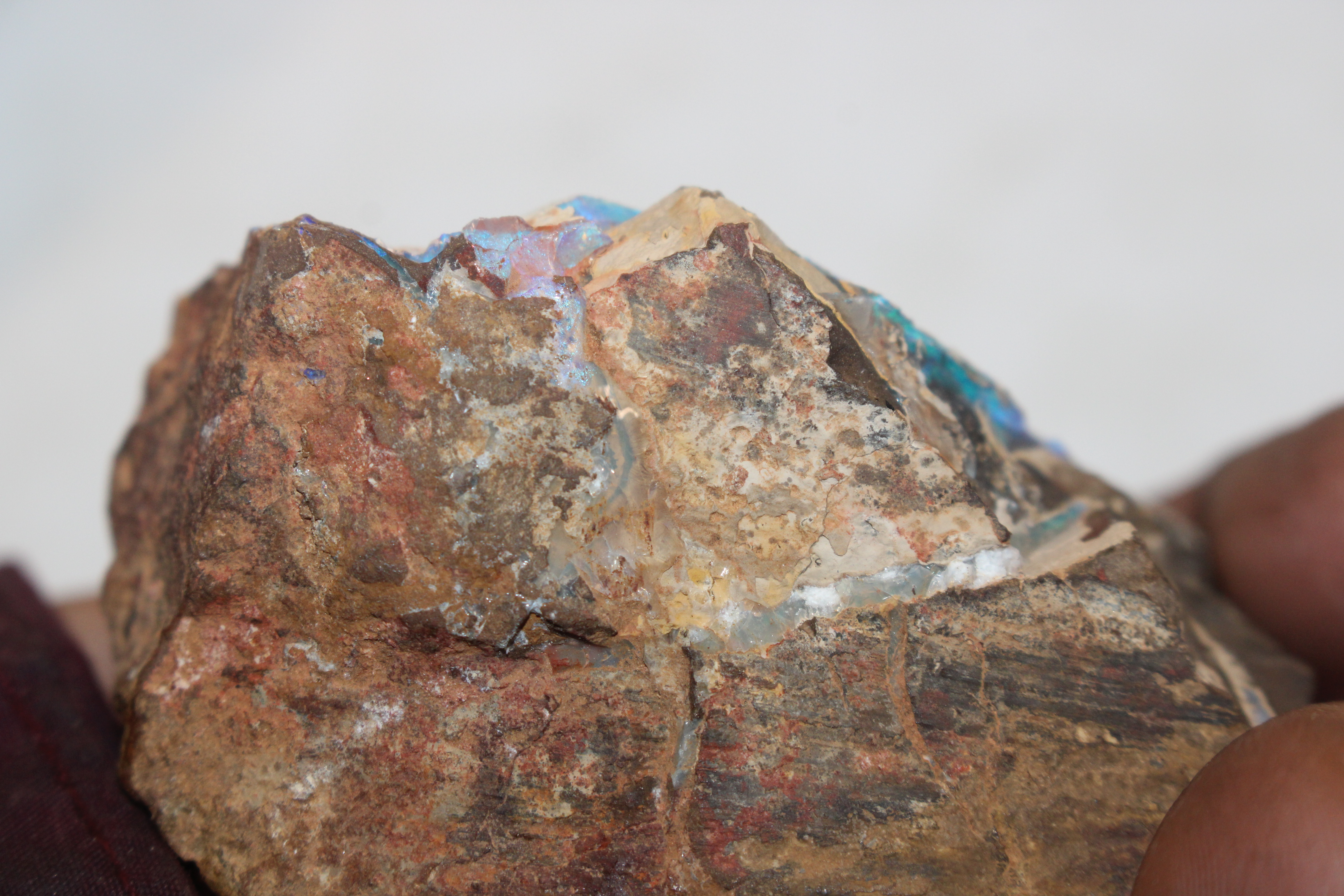 A box containing five pieces of rough Queensland Boulder Rock opal - Image 4 of 17