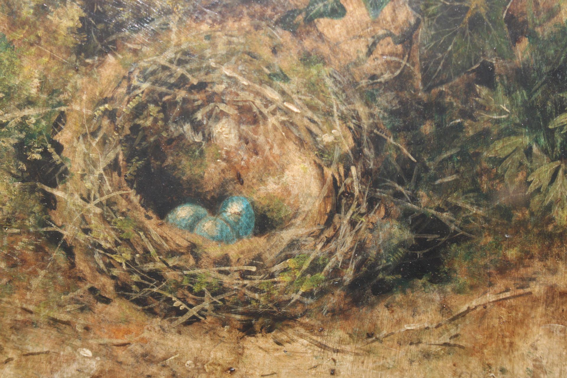 Oil on board study of a bird's nest, signed Clarke - Image 2 of 3