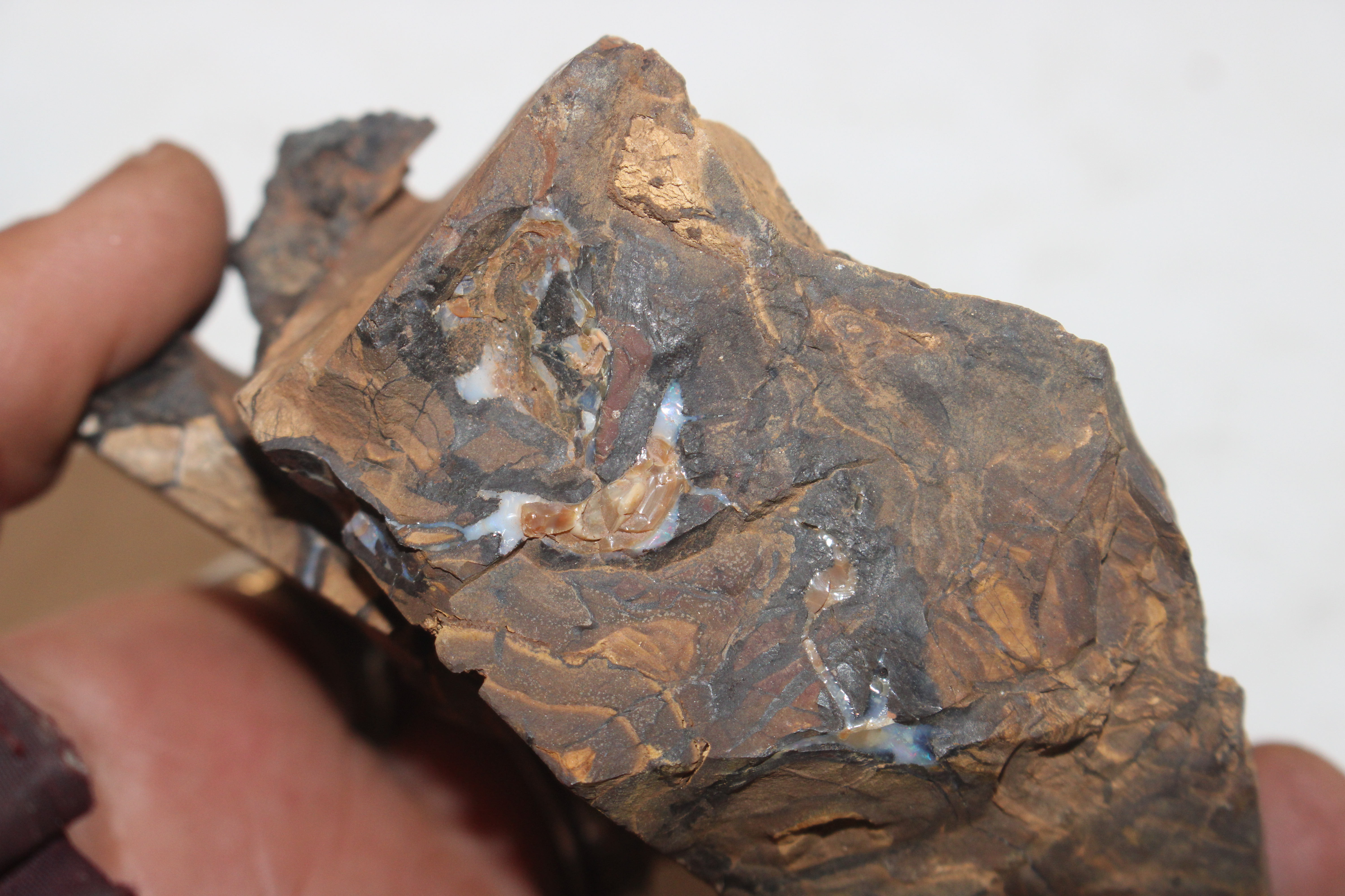 A box containing five pieces of rough Queensland Boulder Rock opal - Image 17 of 17