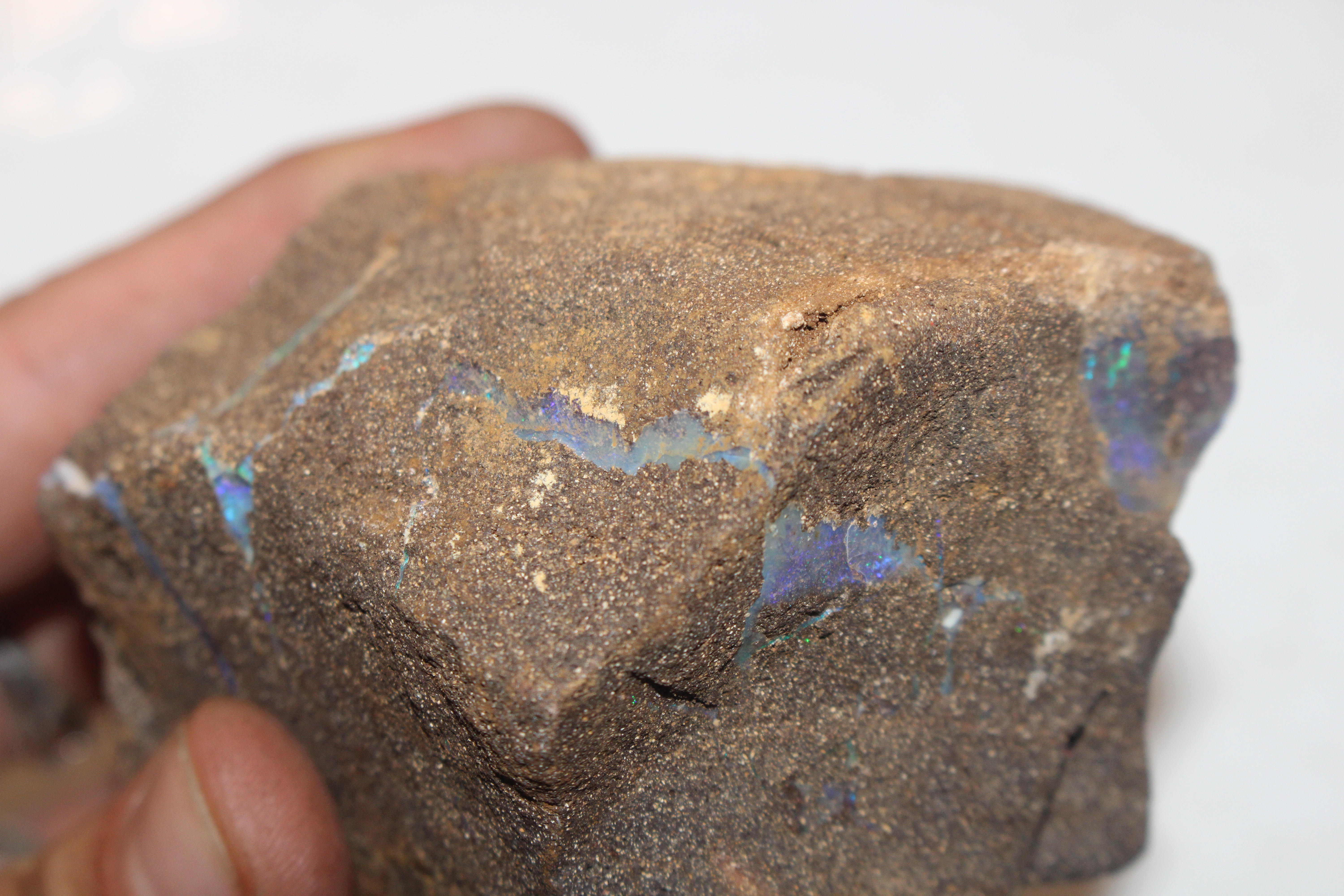 A box containing five pieces of rough Queensland Boulder Rock opal - Image 12 of 17