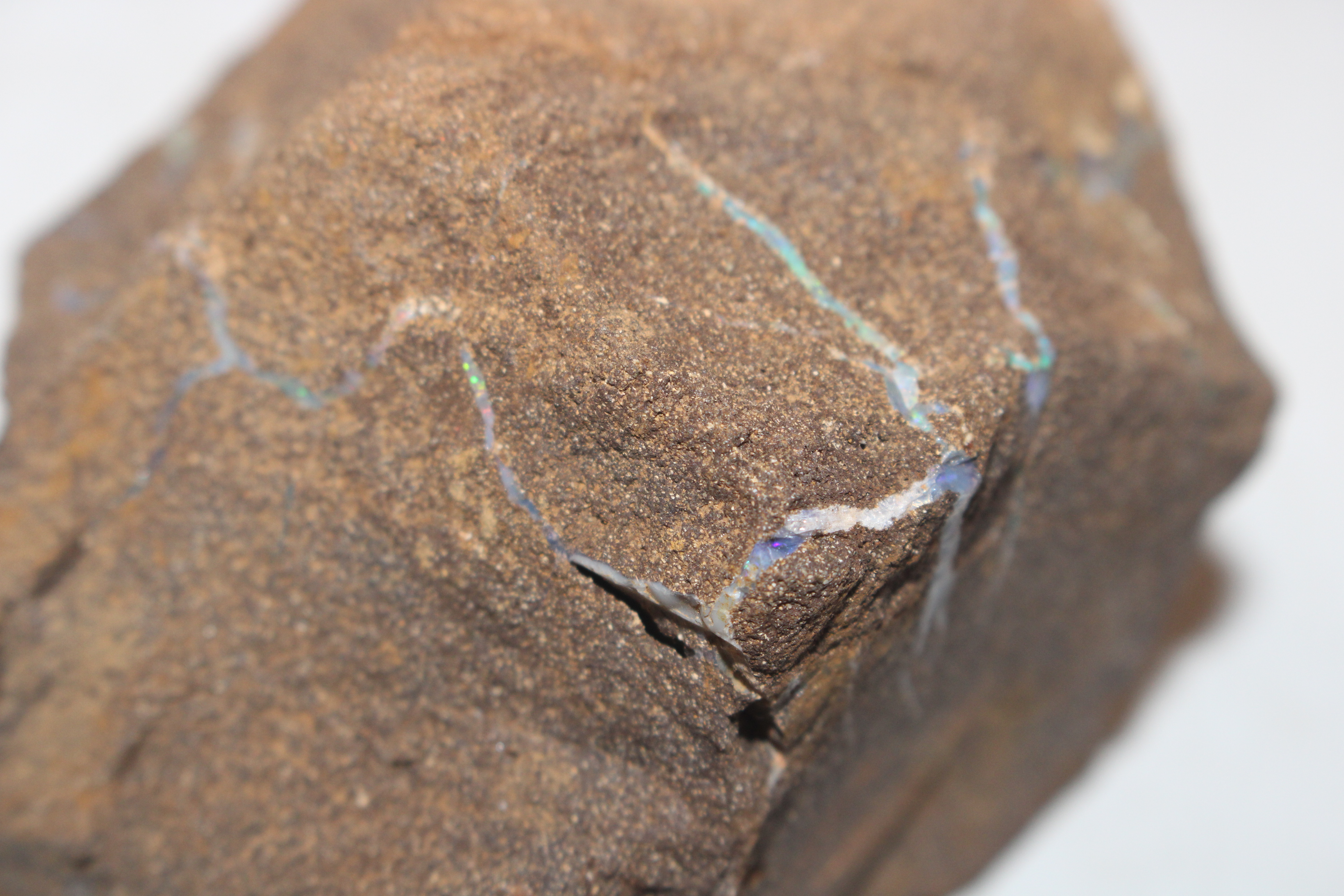 A box containing five pieces of rough Queensland Boulder Rock opal - Image 9 of 17