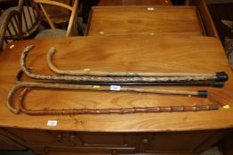 Five various rustic walking sticks