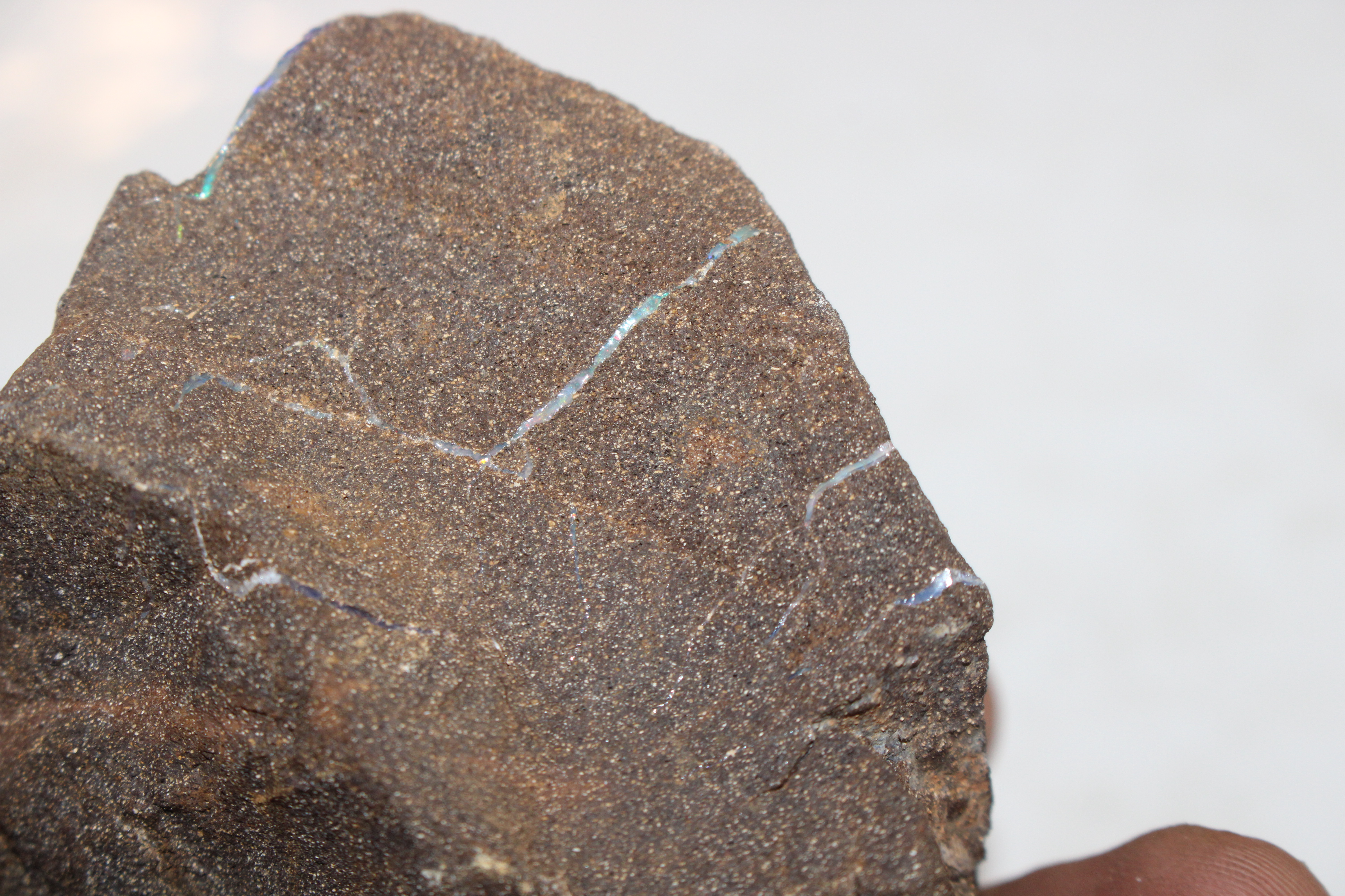 A box containing five pieces of rough Queensland Boulder Rock opal - Image 14 of 17