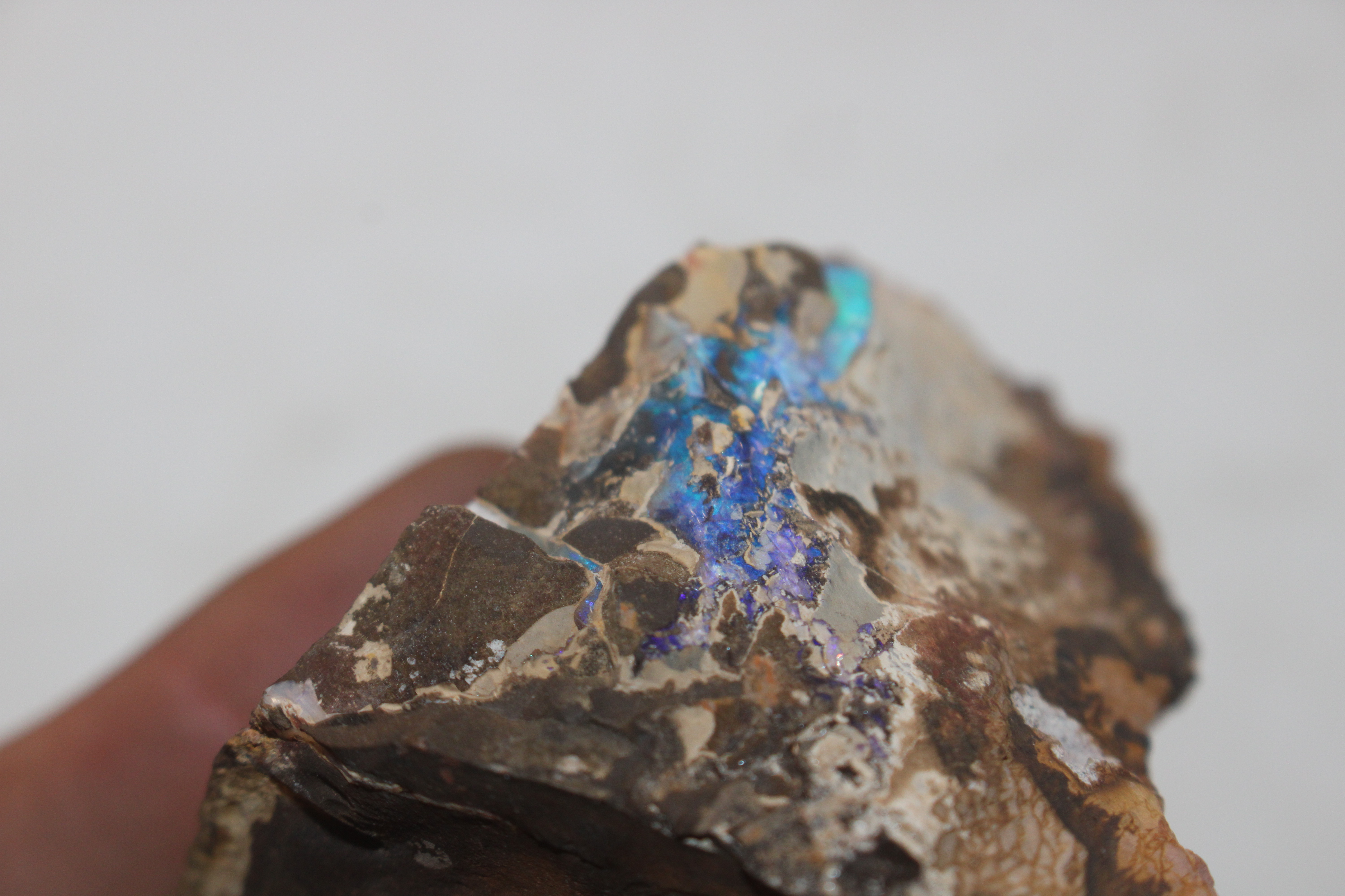 A box containing five pieces of rough Queensland Boulder Rock opal - Image 3 of 17