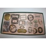 A box of vintage and other belt buckles