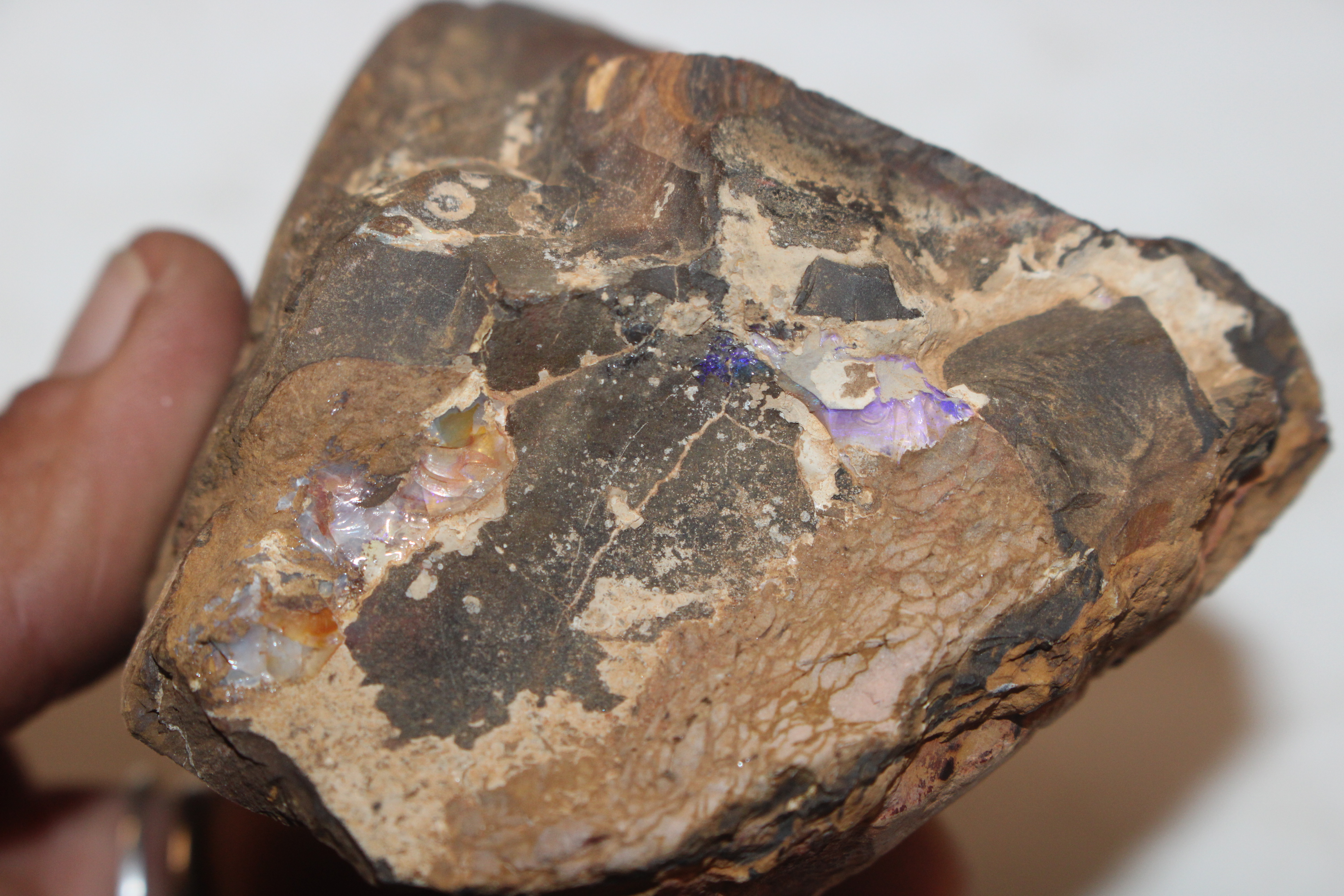 A box containing five pieces of rough Queensland Boulder Rock opal - Image 6 of 17
