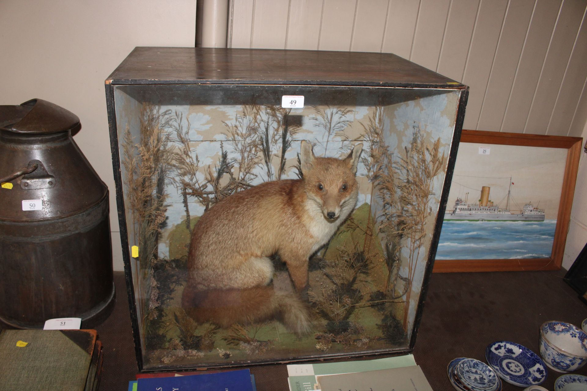 A cased and preserved study of a seated fox amongs