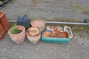A large quantity of various sized terracotta plant