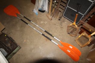 Two kayak paddles