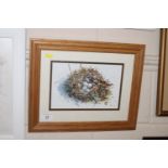 A framed and glazed acrylic "Chaffinch Nest" by Cl