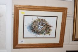 A framed and glazed acrylic "Chaffinch Nest" by Cl