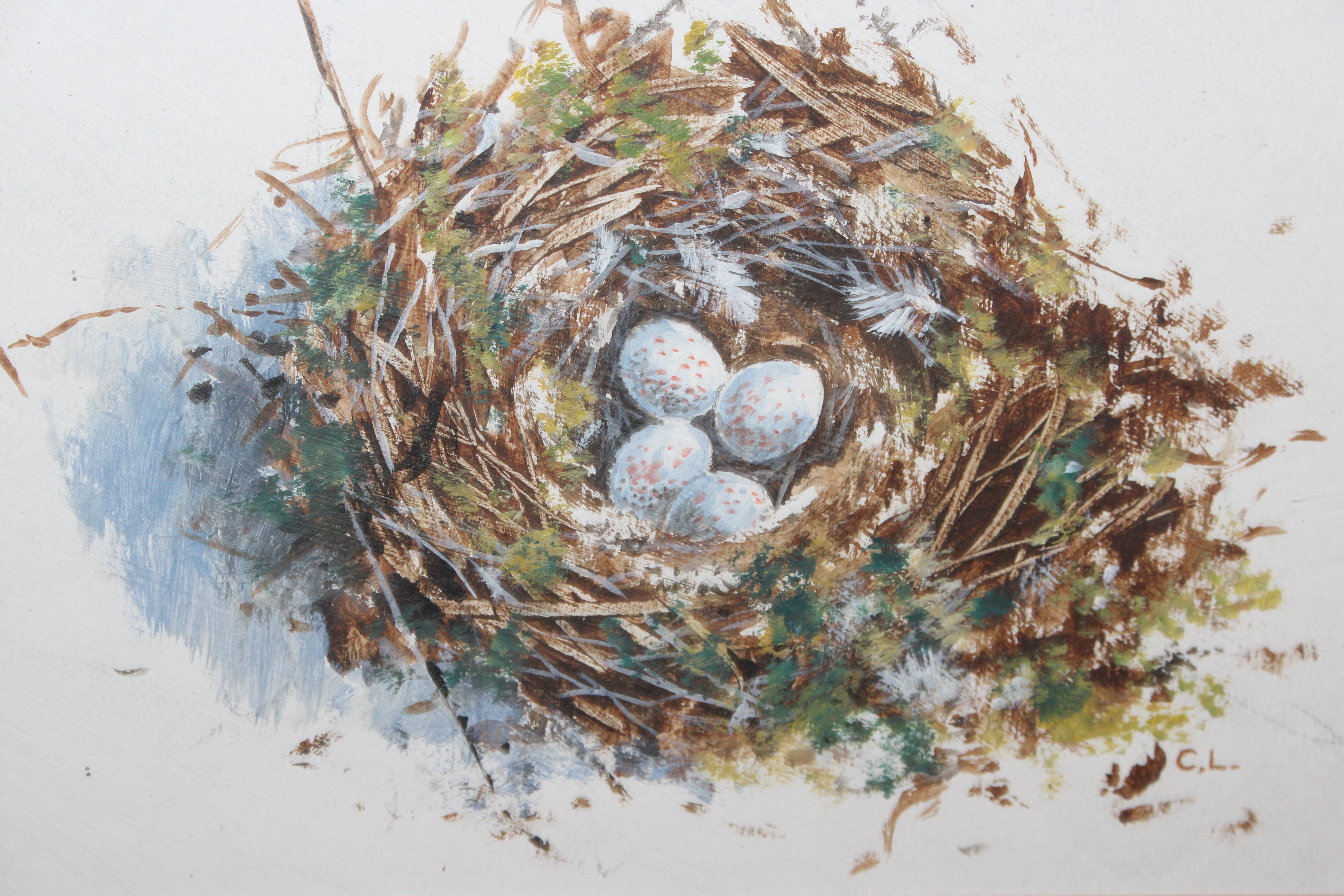 A framed and glazed acrylic "Chaffinch Nest" by Cl - Image 2 of 3