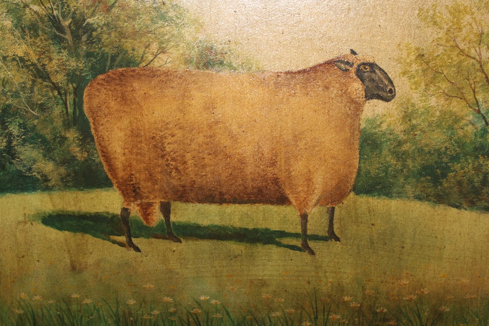 George Riley, oil on board "Suffolk Ram" - Image 2 of 3