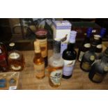 A bottle of Glenmorangie single malt whisky, a bot