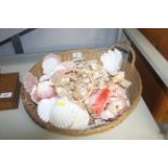 A wicker basket and contents of seashells