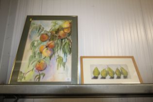 Diana Squires, watercolour still life study of fru